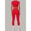 Бесшовный женский фитнес комплект Crop T-shirt + Leggings model 142